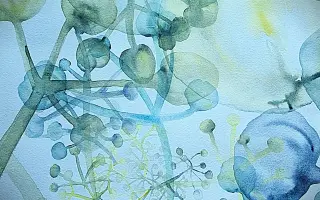 Jaru Kalvodová: ONKODENÍK   - VYDEJME HO SPOLEČNĚ!