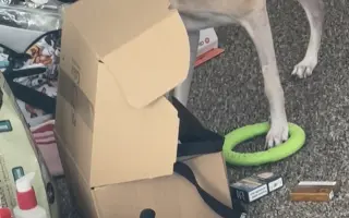 Pomoc pro Martinu a Draca po požáru domova