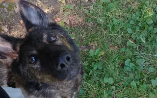 Pomoc Furině v boji s lupusem (SLE)