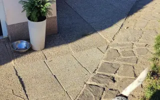 Pomoc pro pejsky čekající na nový domov