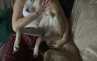 Prosíme o pomoc Tequile po operaci plíce, aby mohla dále skotačit