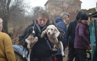 Pomozme s veterinárními náklady opuštěným zvířatům