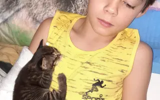 Léčba čtyřnohé kamarádky mého syna