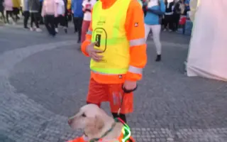 Pomohli jste Pavlovi a Quentymu
