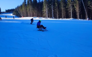 Monoski Tessier