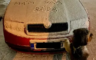 Járova operace v Drážďanech se zdařila, osud Járovi ale nepřál