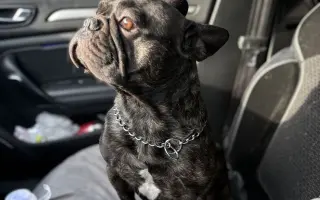 Pomozme Calvinovi zpět na nožičky