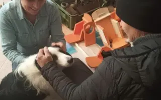 POMOC PRO FOXÍČKA, ASPENA A TAFFY-JACKA