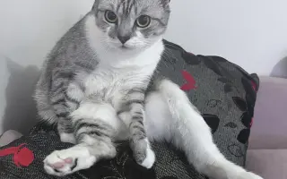Daisy bojuje o život. Pomozme jí znovu dýchat