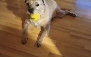 Ondra bojuje s nádorem mozku – podpořme ho