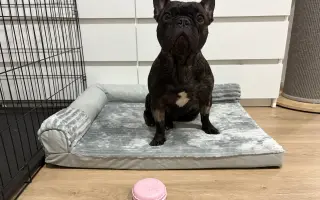 Pomozme Calvinovi zpět na nožičky