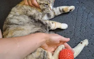 Mína a její cesta