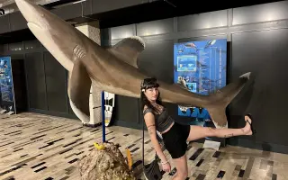 Přispěj Fany na dobrovolnické cestě za ochranou mořských želv