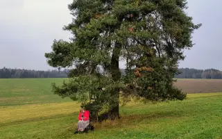 Automobil, který Amálce zajistí bezpečné cestování do školy i na rehabilitace