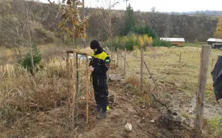 Les v Údolí Mohykánů