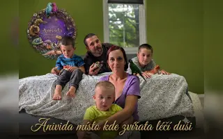 Anivida – Otevřete s námi místo, kde zvířata léčí duši dětí, rodin i seniorů