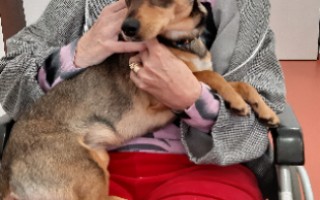 Canisterapie CANTES v krajích ČR jako sociální rehabilitace