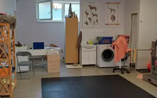 Mladou fenku srazil vlak, pomožme jí k pohybu rehabilitací.