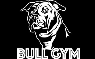 Pomozte nám vytvořit Bullgym - tělocvičnu pro psy