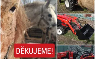 Pomocník pro Vrbovou stáj - místo naděje a zázraků pro týraná a opuštěná zvířata