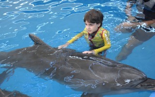 Delfínoterapie pro Sebíka