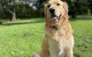 Kroky, které nebolí: Mauriho 4.bitva