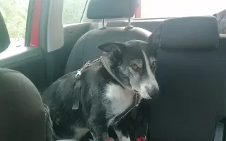 Život bez bolesti pro Mildu