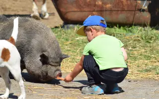 My zachraňujeme zvířata, ony mohou pomáhat Vám a Vašim blízkým