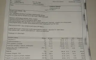 Bigiho srazilo auto