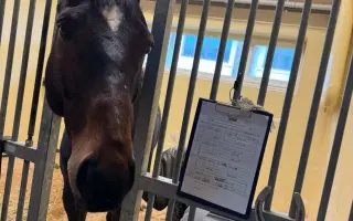 Pomozte zachránit Gryffiho život