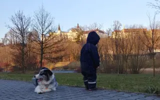 Sbírka na veterinární péči a diabetickou dietu pro Dixinku