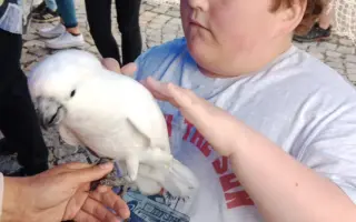 Každý krok se počítá - postavíme  Matyho na vlastní nohy