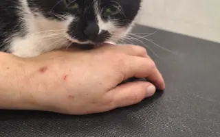 9 nalezených Lásek