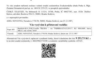 Pomoc pro tři statečné a úžasné děti a jejich maminku