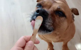 Pomoc při boji s rakovinou pro Pupču