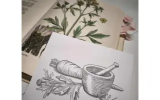 OZVĚNY DÁVNÝCH HLASŮ - pomozte vydat román propojující minulost s přítomností