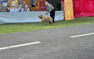 Podpořili jste Arga, zázrakem zpět na čtyři