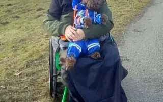 Elektrický pohon k vozíku pro Evu s DMO