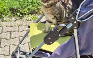 9 nalezených Lásek