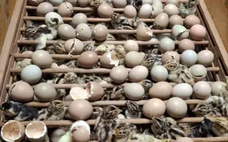 Pomozme společně obnovit zničenou farmu a živobytí farmáře Vládi!