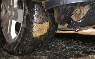 Pomoc pro bojovníčka Ferdu