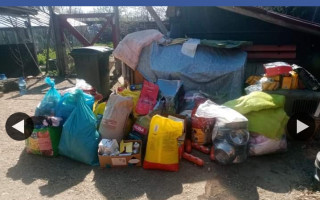 Pomoc pro bezprizorné pejsky z Rumunska, kteří touží mít domov