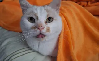 8 nalezených Lásek