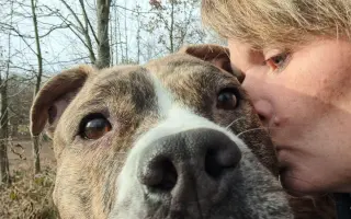 Aby mohl Scooby zase zlobit maminku