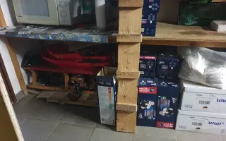 Pomoc pro toulavé kočičky – společně jim dáme najíst i domov