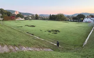 Oplocení fotbalového hřiště proti divokým prasatům