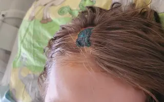 Pro manželku Janu a dceru Adélku po úmrtí manžela a tatínka