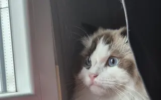 Pomoc s léčbou Mikeška po operacích