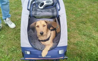 Zachraňme Mejlíkovi nožičku ❤️