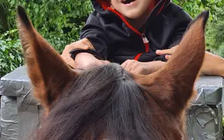 Timík a Kačka potřebují bezbariérový domov – pomůžeme?